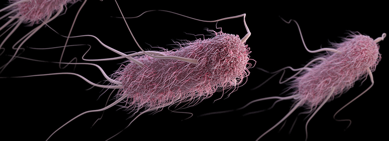 Like any other E. coli, but different.