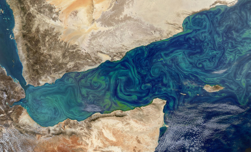 Plankton swirls in the Gulf of Aden between Yemen and Somalia.