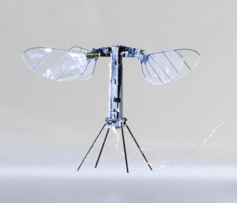 Image of a four winged robot.