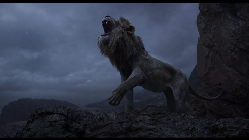 You would <em>not</em> like Adult Simba when he's angry.